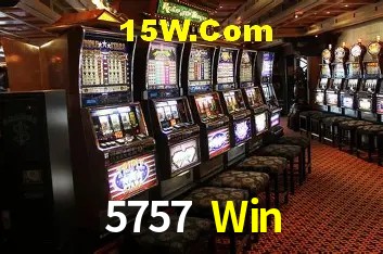 Sistemas de Segurança 5757 Win